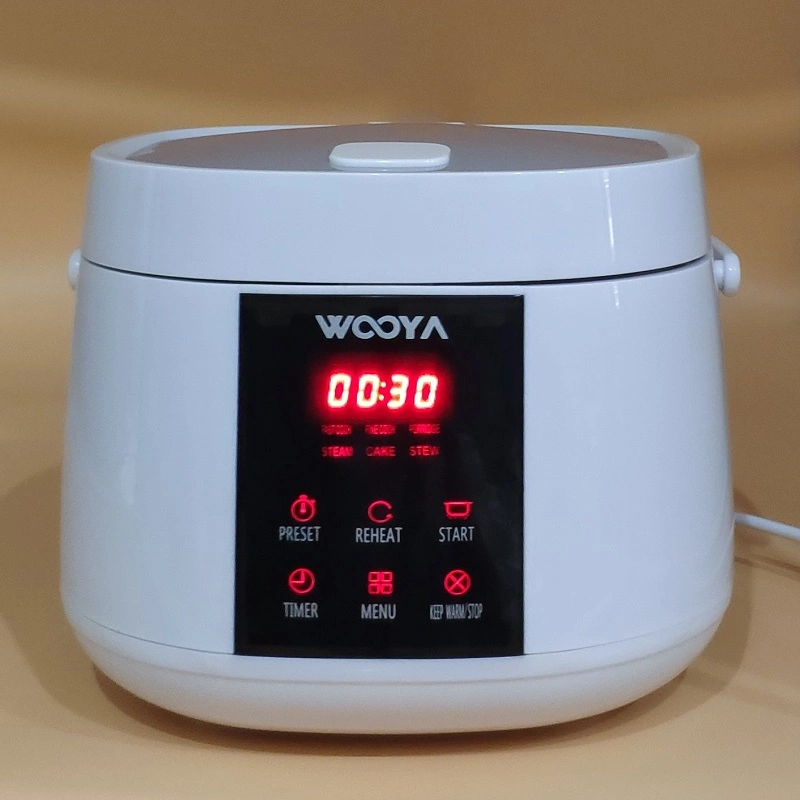 Small Size Mini Stewing Simple Operation Preset Timer 6 Recipes Home Rice Cooker